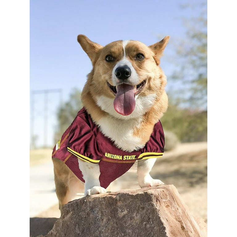 Asu dog bandana sales