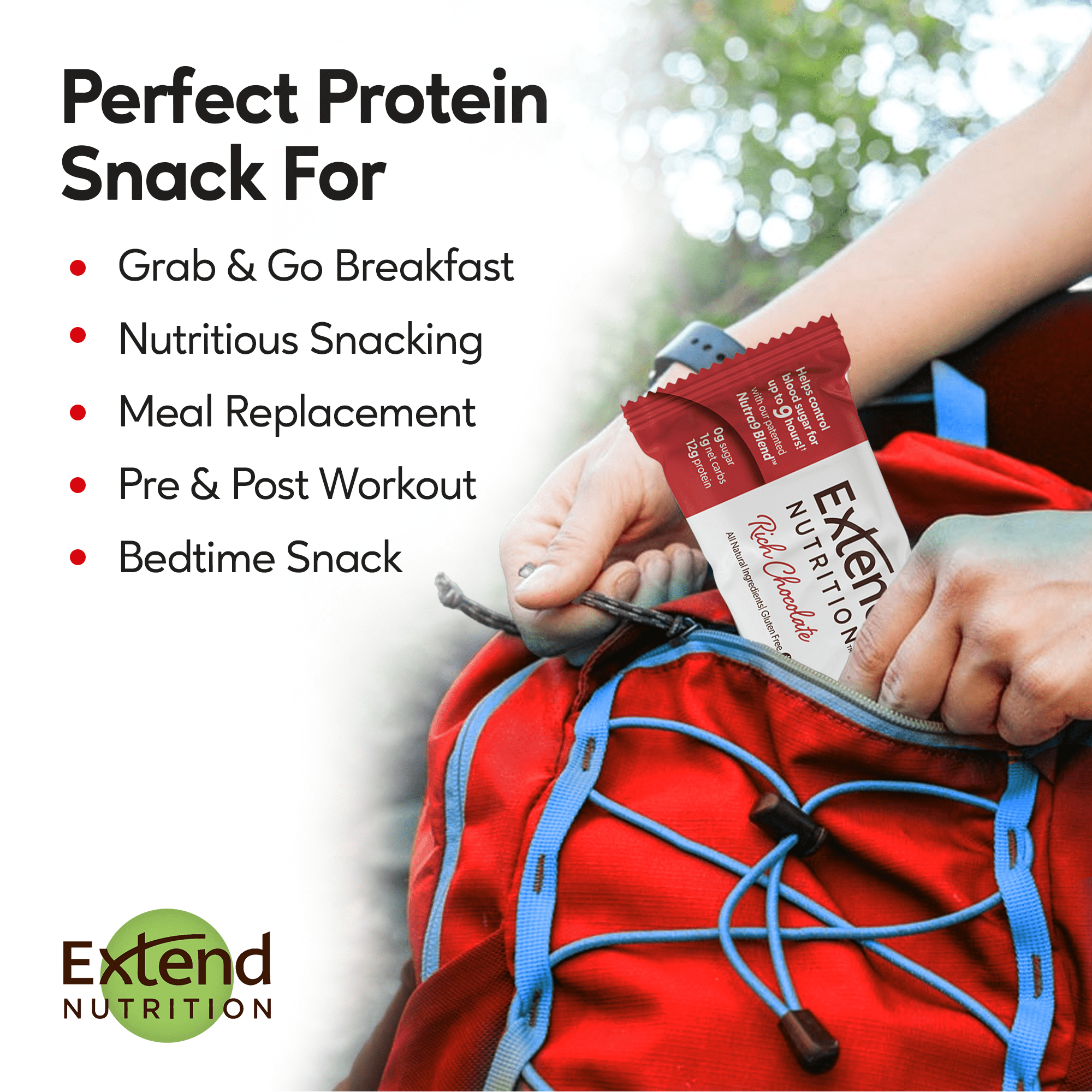 Extend Nutrition Bar, Low Carb, Sugar Free, Protein Bars, Rich Chocolate, 12 Count