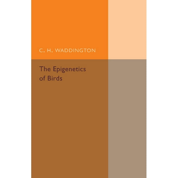 The Epigenetics of Birds, (Paperback)