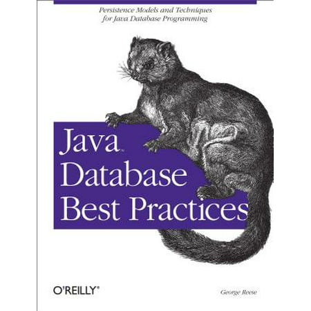 Java Database Best Practices - eBook (Best Programming Language For Database Applications)