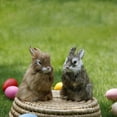 thumbnail image 3 of Easter Decorations for Home Clearance! Realistic Furry Easter Bunny Decoration Lifelike Easter Bunny Decoration Suitable For Home Photography Props Party And Collectible, 3 of 5