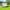 78.7 * 78.7in, variant on Clear Tarps Heavy Duty Waterproof with Grommets and Windproof Rope, 2025 New Vinyl Coated PVC Tearproof Transparent Tarpaulin for Covering Henhouse Porch Canopy Plant Patio Camping,78.7 * 157.4in