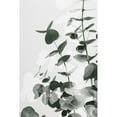thumbnail image 3 of 1x Studio III 11x14 Black Modern Framed Museum Art Print Titled - Eucalyptus Creative 03, 3 of 5