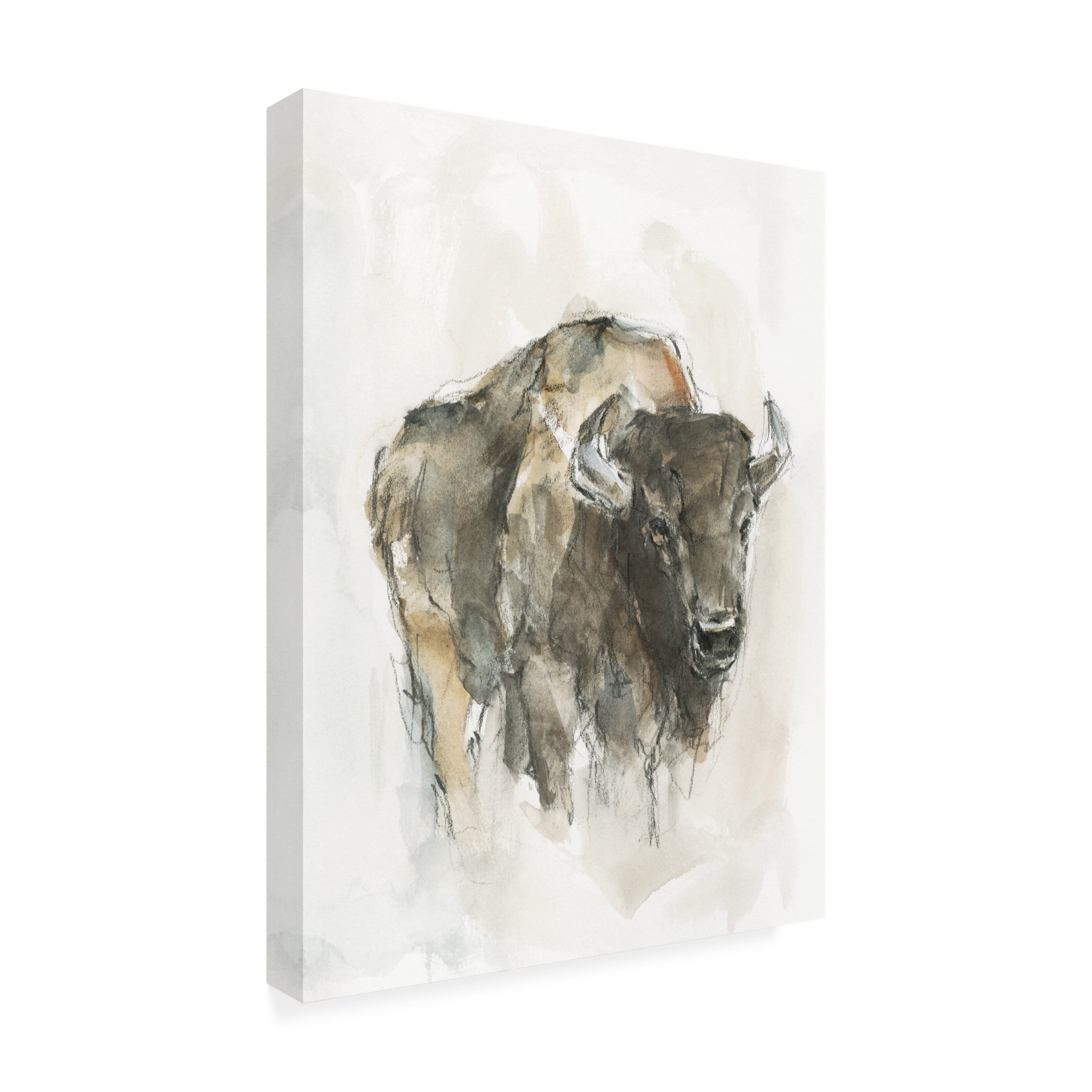 Ethan Harper ' Buffalo I' Canvas Art