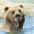 thumbnail image 2 of Stellar Design Studio 26x26 Gold Ornate Wood Framed with Double Matting Museum Art Print Titled - Bear Bath, 2 of 4