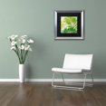 thumbnail image 3 of Trademark Fine Art "Brasilia II" Canvas Art by Color Bakery Black Matte, Silver Frame, 3 of 4