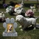 thumbnail image 4 of Lápida para mascotas, perros y gatos | Lápida de resina para jardín e interior | Adorno de homenaje y recuerdo de la pérdida de una mascota en beige o gris, 4 of 6