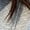 Gray, variant on Shirt for Women Striped Faux Two-Piece V Neck Collared Blouse Short Sleeve Layered Look Casual Tops