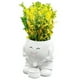 thumbnail image 3 of Planta de maceta Subserta para la cabeza creativa para plantas interiores y exteriores, 3 of 5