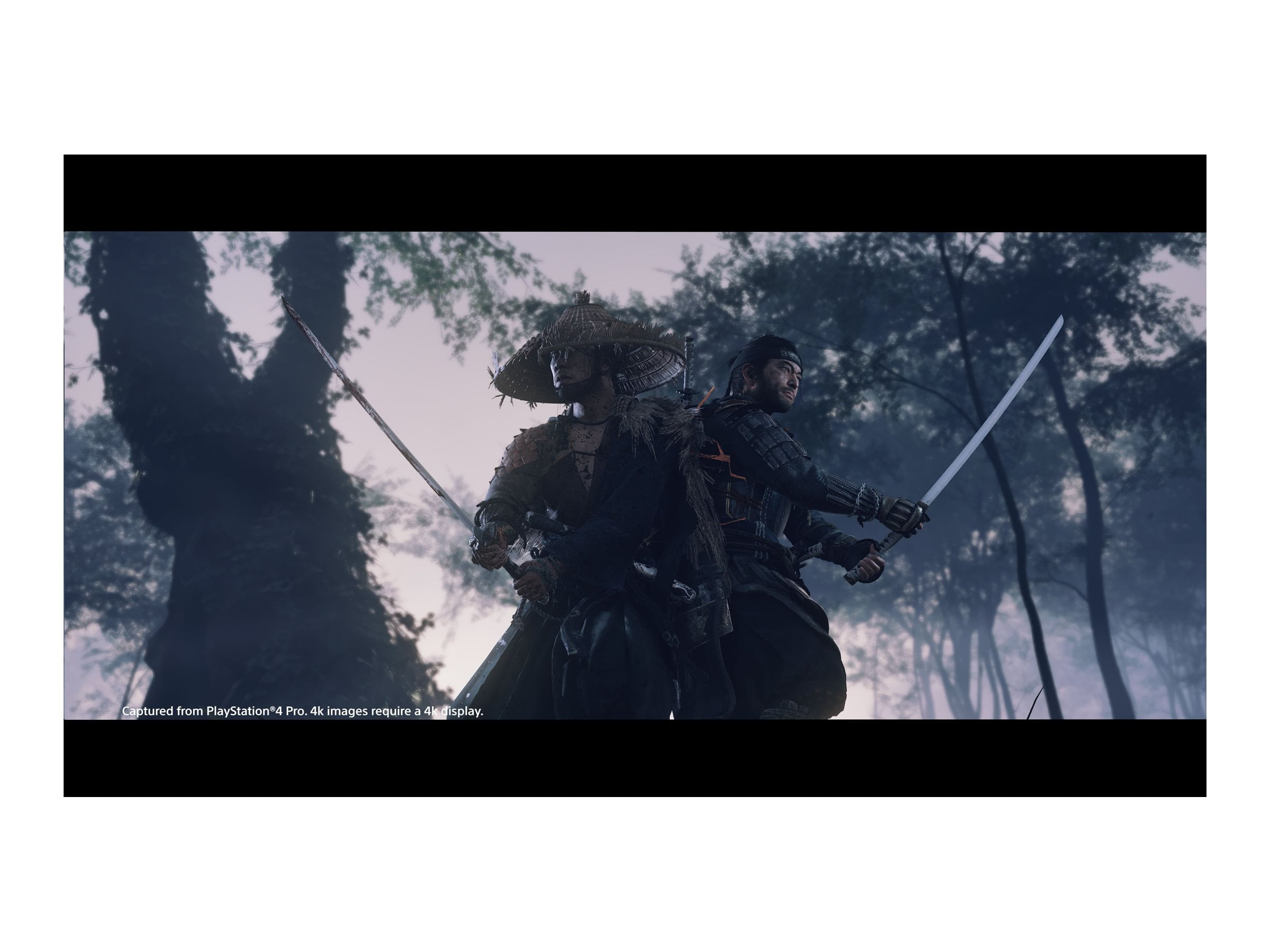 Sony Ghost of Tsushima Director's Cut-PS4 Video Game