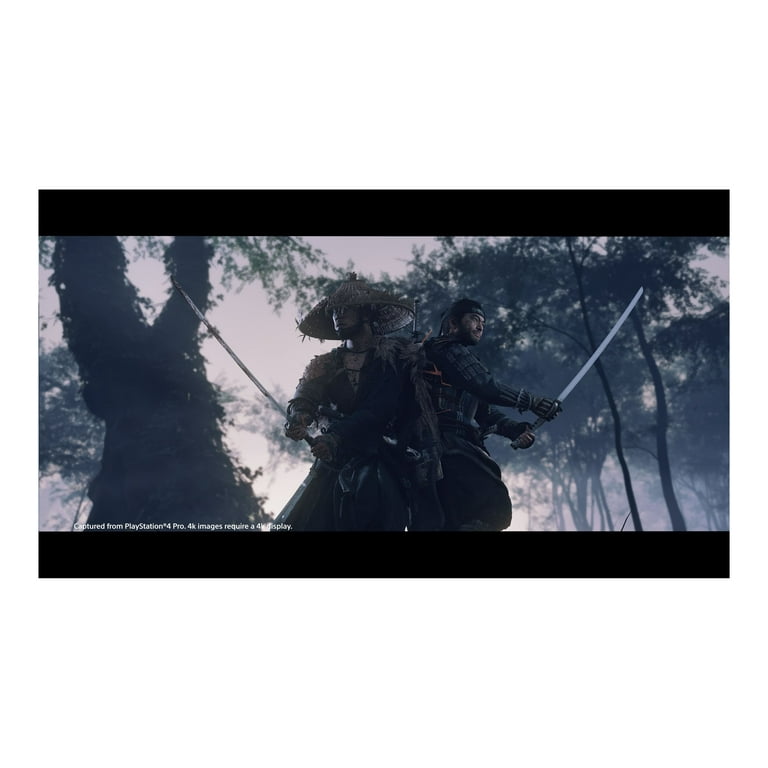 Sony Ghost of Tsushima Director's Cut-PS4 Video Game