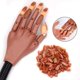 thumbnail image 4 of Mano De Práctica De Entrenamiento De Uñas Con Uñas - Suministro De Manicura Para Exhibición De Uñas - Manos Falsas Falsas Móviles Flexibles Para Manicura De Uñas-La Mejor Impresión De Bricol, 4 of 5