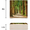 thumbnail image 3 of FMSHPON Green Tree Forest Woodland Spring Natural Scenery Art Print Set of 4 Coaster for Drinks, Absorbent Ceramic Stone Coasters Cup Mat with Cork Base for Home Kitchen Room Coffee Table Bar Decor, 3 of 4