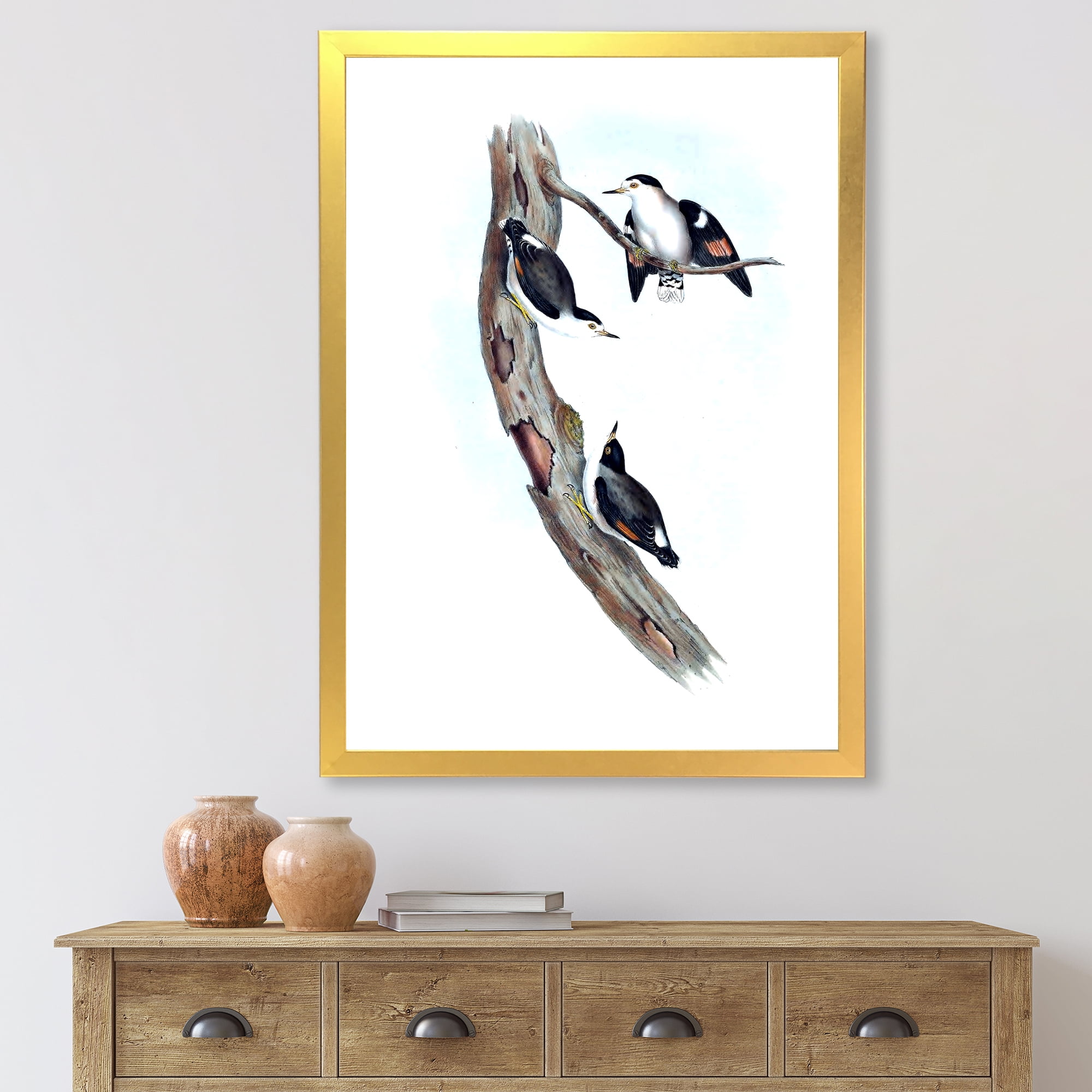 Designart 'Ancient Australian Bird Illustrations I' Traditional Framed Art Print
