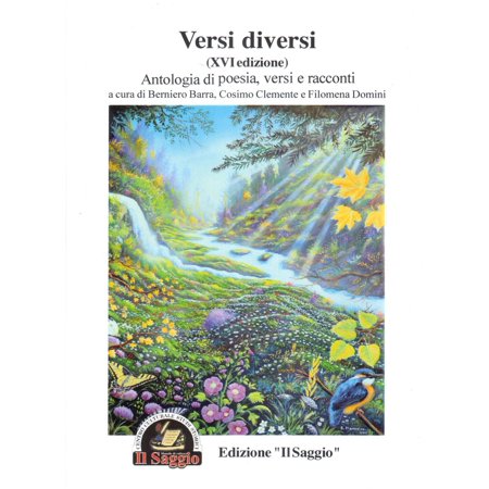 Cosimo Clemente Berniero Barra Versi diversi. Antologia di poesia versi e raccon (Paperback)