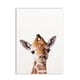 thumbnail image 1 of León cebra elefante jirafa bebé animales Póster Artístico impreso, imagen de animales de Safari pintura en lienzo decoración de pared para habitación de niños y guardería Adepaton 1247-15, 1 of 1