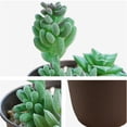 thumbnail image 3 of 3 uds suculentas de simulación en macetas pequeños adornos creativos plantas verdes artificiales, 3 of 5