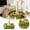 A, variant on Indoor Interactive Cat Nail File Puzzle Board for Cat Self-Grooming and Entertainment Scratch Pad for Hair Combing and Play Pet Supplies