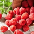 Fresh Raspberries, 12 oz Container