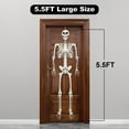 thumbnail image 2 of DUNCHATY 3FT + 5.5FT Poseable Human Skeletons Set, Realistic Bone Joints, Lightweight Indoor/Outdoor Halloween Props for Trees, Porch, Party Decor, 2 of 9