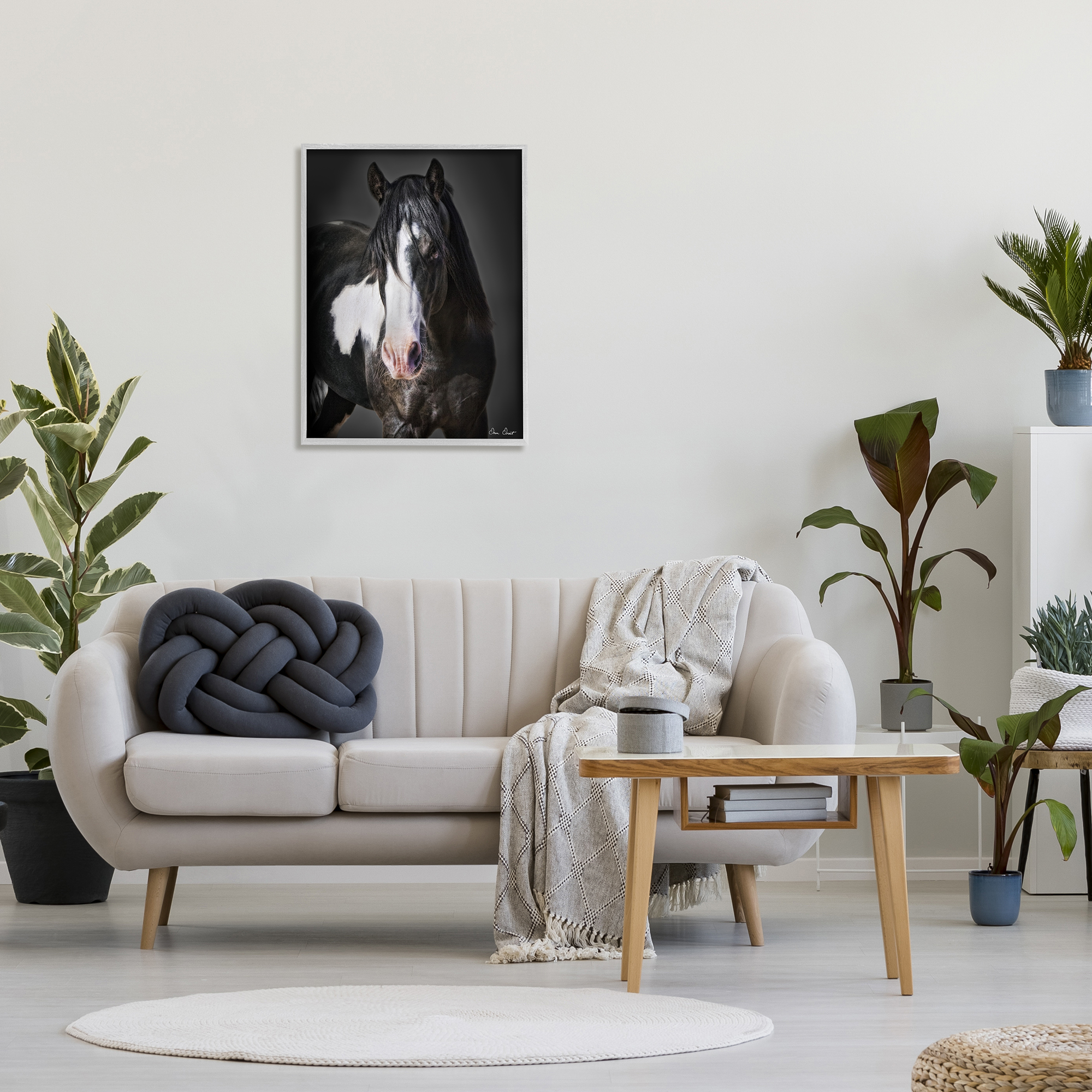 Stupell Industries Black & White Horse Animals & Insects Photography Gray Framed Art Print Wall Art, 24 x 30