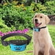 thumbnail image 4 of Colr perros sin sensibilidad , , eléctrico, ultrasónico, para mayoría perro Colco Collar de entrenamiento de ladridos, 4 of 8