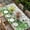 Gray, variant on St. Patrick's Table Cloths for 3 Foot Rectangle Tables, Luck Shamrock Eucalyptus Leaves Flowers Grey Wooden Patio Waterproof Elastic Fitted Tablecloths, Washable Rectangular Table Cover for Camping