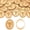 Rgg Yolk Vintage Photo Frame, variant on Wax Seal Stickers, 25‑Piece Rose Gold Bouquet Design, Oval Embossed Self‑Adhesive for Wedding Invitations and Envelope Decorations