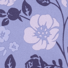 Cheerful Flowers