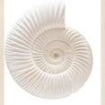 thumbnail image 2 of CafePress - Ammonite Tote Bag - Unisex Canvas Tote Bag, Beige, 1-Piece, 2 of 7