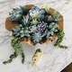 thumbnail image 4 of Plantas Artificiales Flores Suculentas 21 Pcs Decoración, 4 of 5