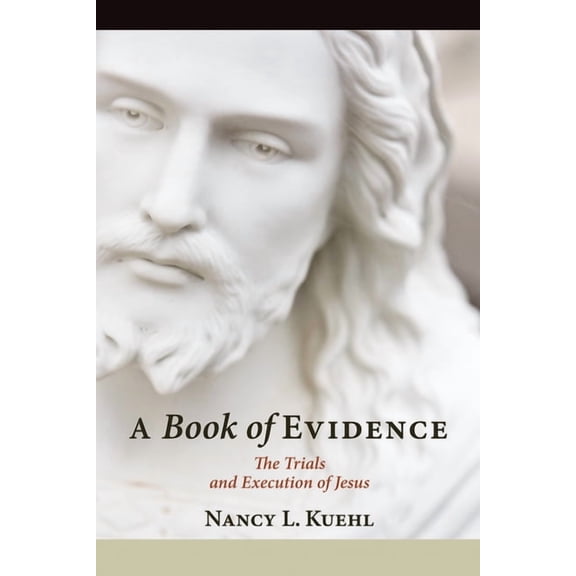 A Book of Evidence (Paperback)