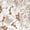 Brown, variant on GRACE & GRANDEUR Women's Plus Size Round Neck Short Sleeves Floral Pleated Summer Midi Dress 2X Brown