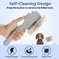 thumbnail image 3 of Luckyouth Cat Steam Brush with Spray, 3-in-1 Pet Grooming Water Brushes, Hair Removal Comb for Shedding - for Long/Short Haired Pets -Dogs, 3 of 8