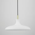 thumbnail image 7 of -1 Light Large Pendant In Modern Style-21 Inches Wide By 11 Inches High-Polished Nickel Finish Mitzi H421701l-Pn/Bk, 7 of 7