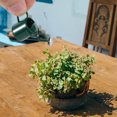 thumbnail image 5 of KAKOWELY 1 Set 1/12 Mini House Accessories Mini Sprinkling Garden Tools Model Miniature Sprinkling Garden Tools Decor Alloy Mini House Accessories Mini House Sprinkling Garden Tools Set, 5 of 5
