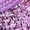 Purple, variant on Girls Summer Sparkly Princess Shoes, Sequin T Strap Buckle Design Soft Sole Lightweight Dress Shoes For Toddler Kids Runway And Performance Blue 22