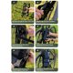 thumbnail image 3 of Bolsa Para Tubo Delantero De Bicicleta, Bolsa De Inserción Delantera Para Bicicleta 5L De Gran Capacidad Impermeable Ligera Raya Reflectante Multiusos Para Ciclismo, 3 of 7