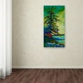 thumbnail image 3 of Trademark Fine Art 'West Coast Sentinel' Canvas Art by Marion Rose, 3 of 3