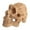 1, variant on Plastic Fish Miniature Skull Landscape Ornaments Water Fashion Simulated Water Skull Aquariums Ornament