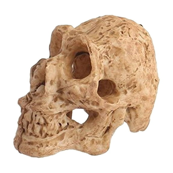 UNTERING Skull Decor Fish Landscape Decor Bonsais Miniature Simulated Skull for Aquarium Fish Decor