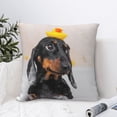 thumbnail image 4 of Fuzoiu Dachshund Sitting in Bathtub Print Square Pillow Cover,Hidden Zipper Design,Luxury Square Pillow Case, Throw Pillow,Couch Cushion-22"x22", 4 of 7