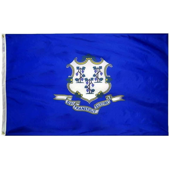 Connecticut - 5'X8' Nylon Flag