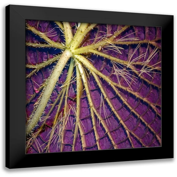 DeNardo, Laura 12x12 Black Modern Framed Museum Art Print Titled - Cropped Garden Leaves IV
