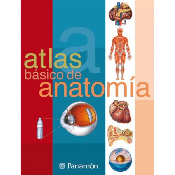 Pre-Owned Atlas bsico de anatoma (Spanish Edition)