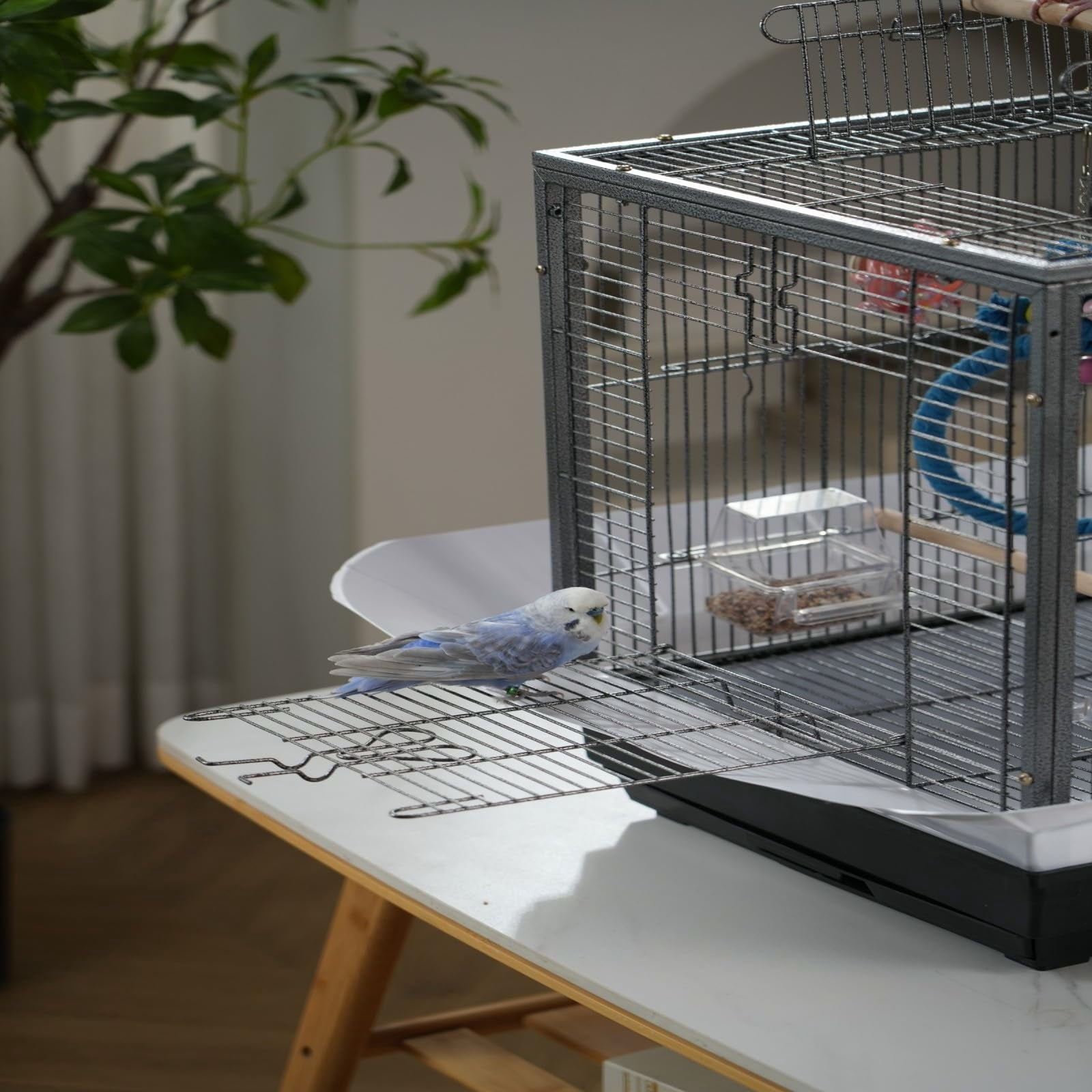 Small Bird Cage, 45 x 45 x 60 cm Travel Carrier Cage with Pull-Out Tray and 2 Perches, Metal Portable Bird Carrier with Handle, for Parrot, Budgie, Parakeet, Small Medium Birds