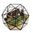 thumbnail image 3 of Plant Planter,Elegant Geometric Flower Pot Plant Container Flower Pot Enhanced Features, 3 of 14