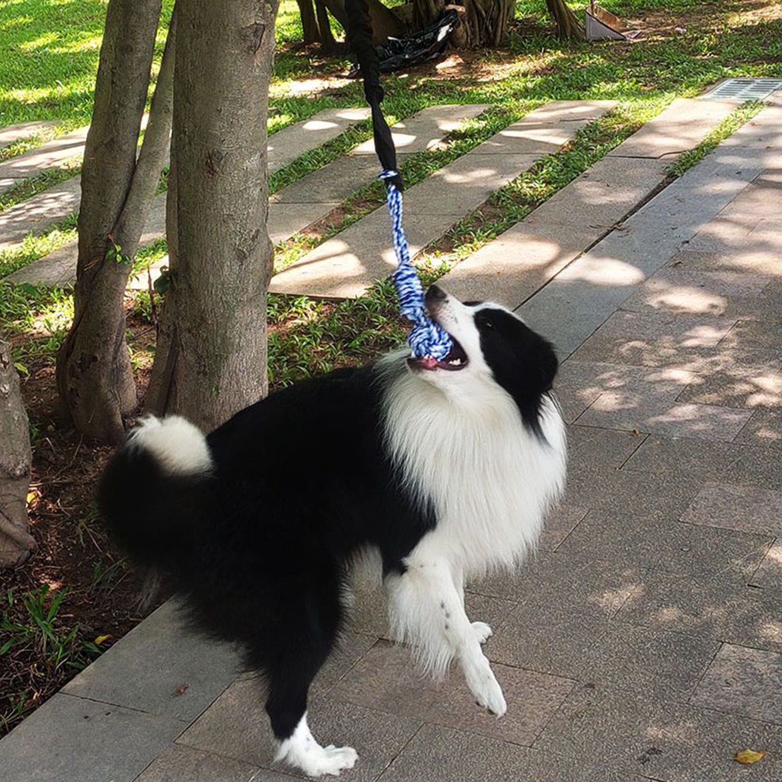 Dog Interactive Toy Increases Chews Long Rope Tug for Aggressive Chewers Teething Chew Toy Rope Tug Toy