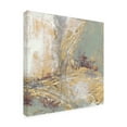 thumbnail image 2 of Trademark Fine Art 'Gilded Circuit II' Canvas Art by Jennifer Goldberger, 2 of 3
