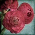 thumbnail image 7 of Red Ranunculus Painting Print on Wrapped Canvas, 7 of 7